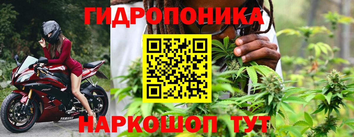 Ревда  Каннабис LSD WEED  Шишки марихуана марихуана  Вход с VPN 